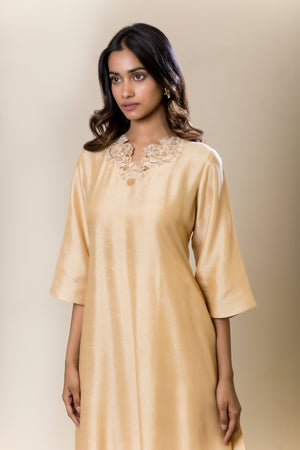 Neck & Back Embroidered Kurta